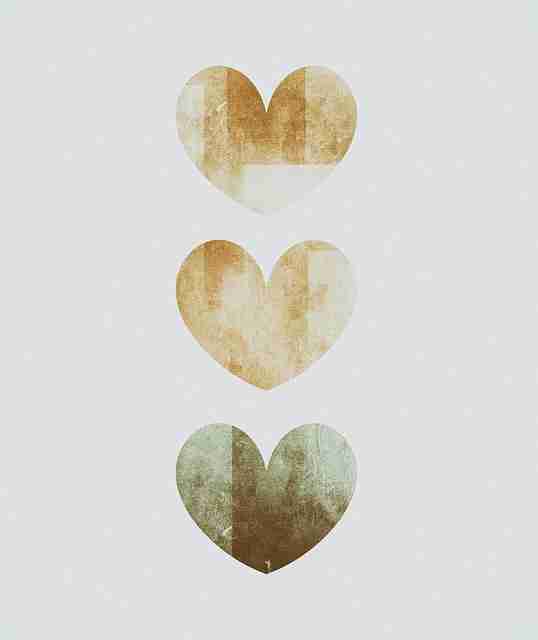 重磅——新91视频高能解码——必读