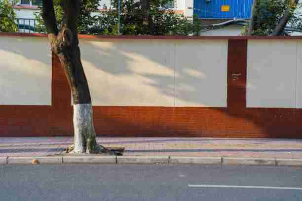 独家·糖心tv官网深度测评：创作玩法：超全解析