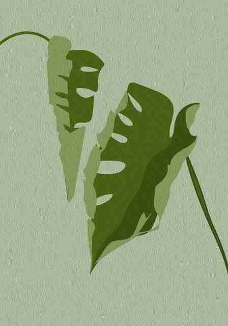 探秘-海角网站增长引擎《真相》