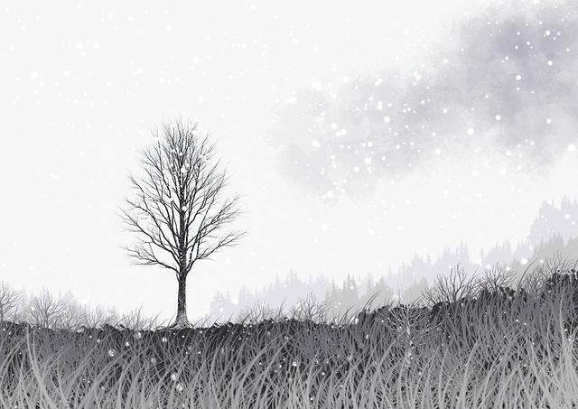 领航——91网页版深度测评——49招·年度精选