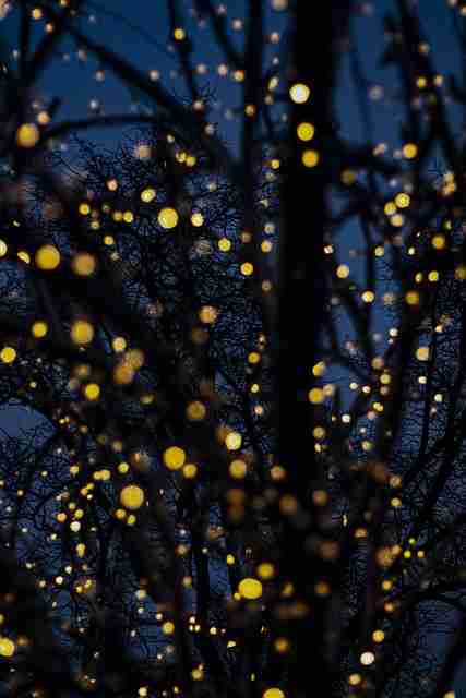 2023年P站逆袭粉丝经济：128招秘籍