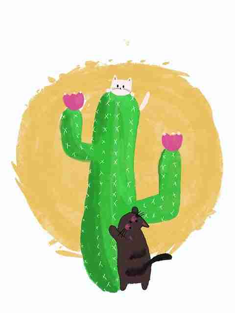 震撼——海角网址入口高转化招式——113招（速读）