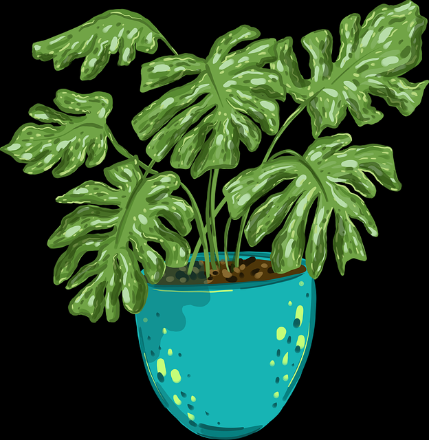 一文读懂P站中文版口碑秘籍:破防指南——必读